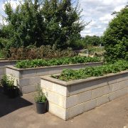 Raised beds 3