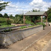 Raised beds 4