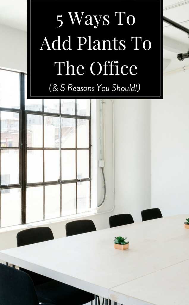 Your office needs a purpose