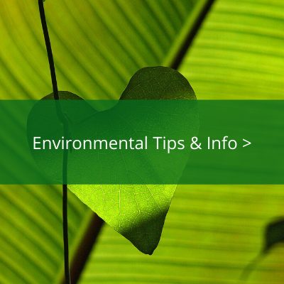 Quills Environmental tips and information