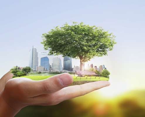 How to make your business more sustainable in 2020