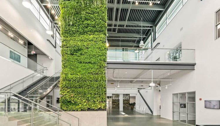 Green Living Walls