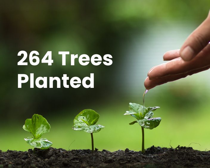 Plant a Tree as of 31.12.25
